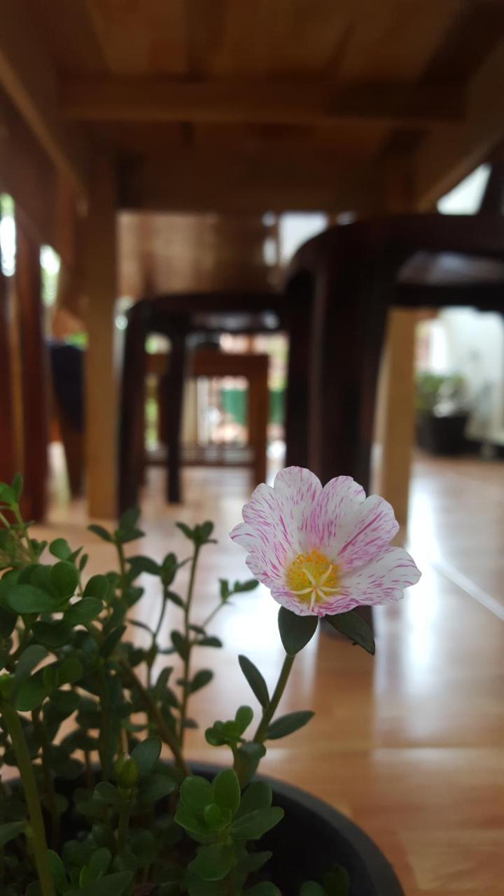 Ranga Villa Hikkaduwa Kültér fotó